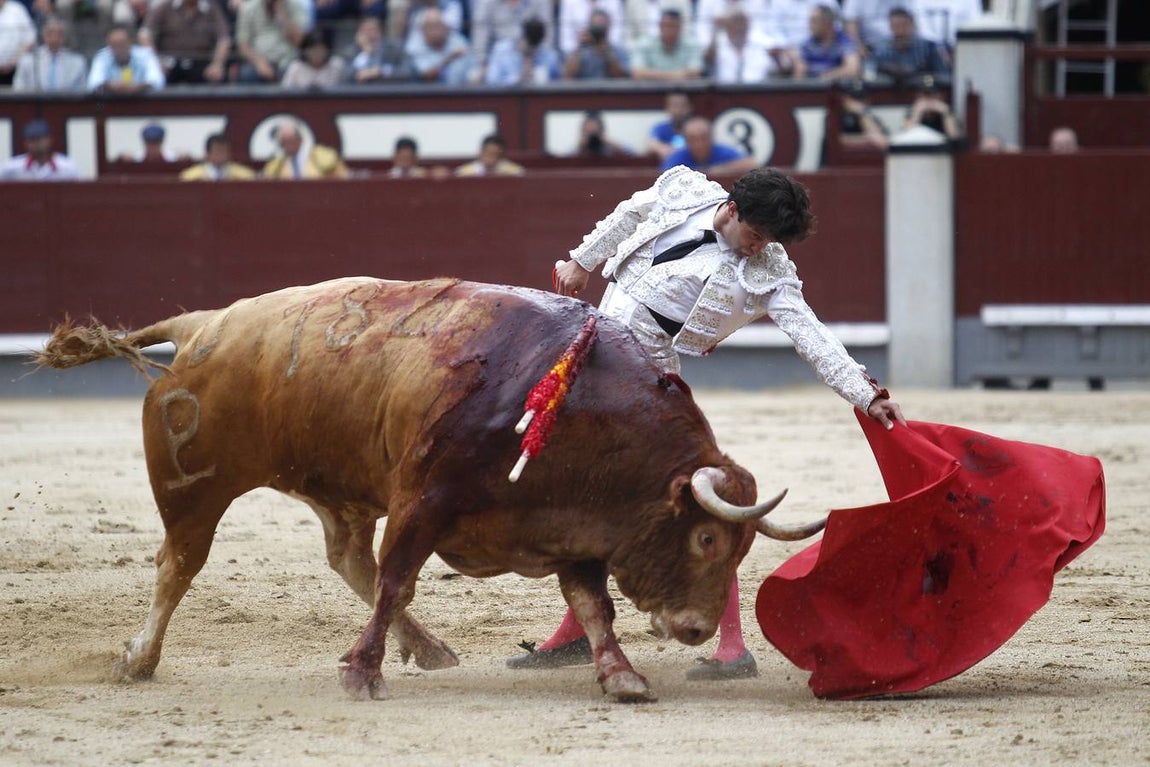 La gran tarde Juan del Álamo y Alcurrucén en Las Ventas, en imágenes