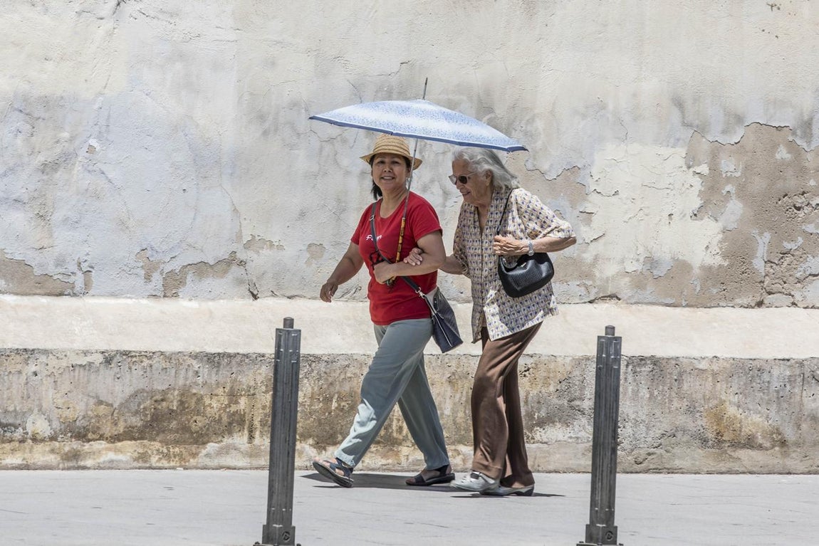 El tiempo en Valencia: las imágenes de la ola de calor. 