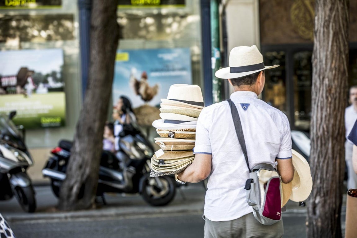El tiempo en Valencia: las imágenes de la ola de calor. 