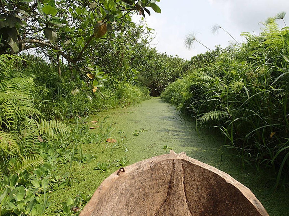 Río Mono (Benin y Togo). Situada al sudoeste de Benin y al sudeste de Togo, esta reserva de biosferatransfronteriza del Río Mono abarca una superficie de 346.285 hectáreas y une lasreservas nacionales del mismo nombre situadas en Benin y Togo. El territorio del sitiose extiende por la llanura aluvial, las orillas y las zonas del delta de ese curso de agua ycomprende una gran variedad de paisajes y ecosistemas, en particular manglares,sabanas, lagunas, llanuras inundables y bosques, entre los que figuran bosques sagrados.El sitio de la reserva alberga una población de unos dos millones de habitantes que sededican principalmente a la agricultura a pequeña escala (palmas aceiteras y cocoteros),el pastoreo, la silvicultura y la pesca.