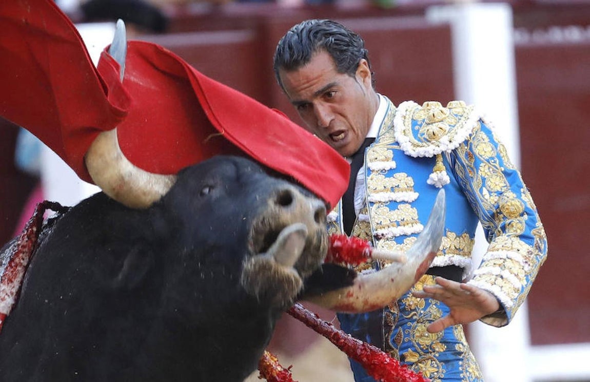 En imágenes, la vida del torero Iván Fandiño
