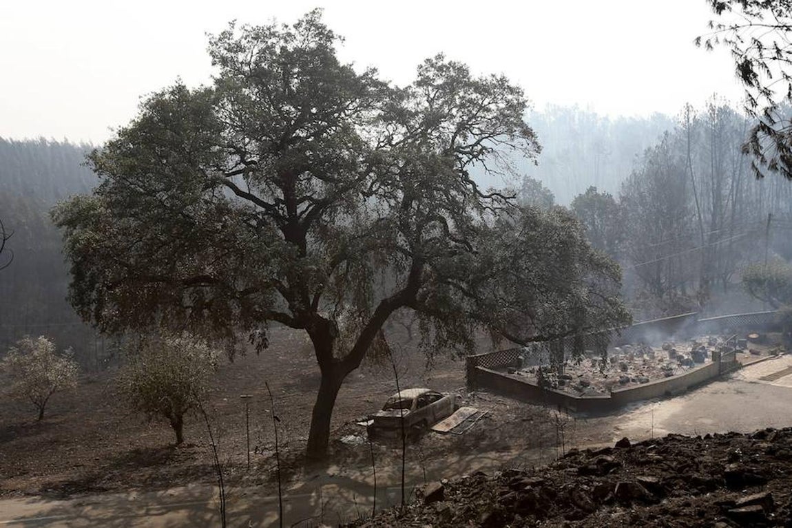 Trágico incendio en Portugal