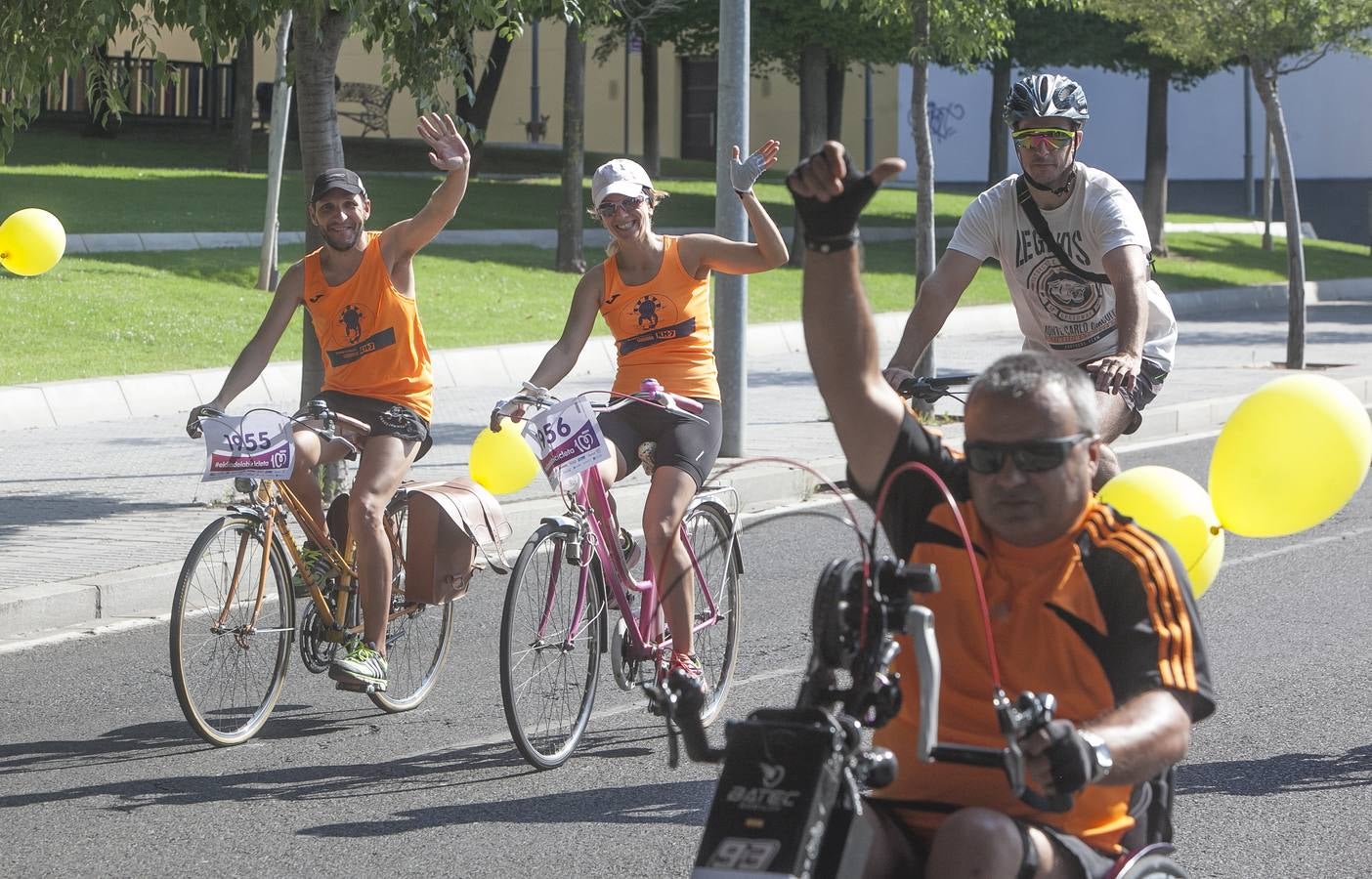 El Día de la Bicicleta de Córdoba, en imágenes