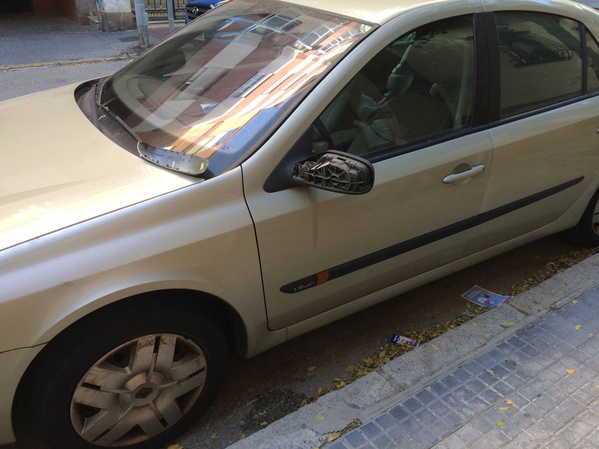 Un vándalo rompe los retrovisores de más de una veintena de coches en Cádiz