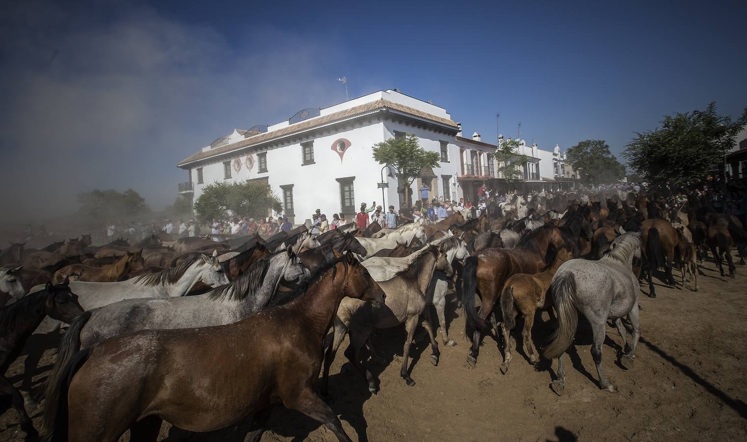 La Saca de las Yeguas en 2015