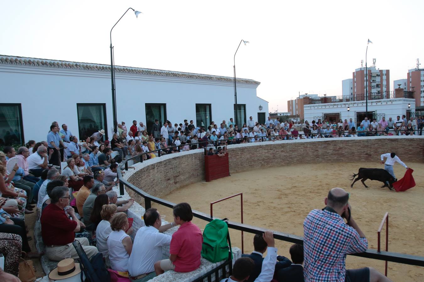 Homenaje a Pepe Luis Vázquez