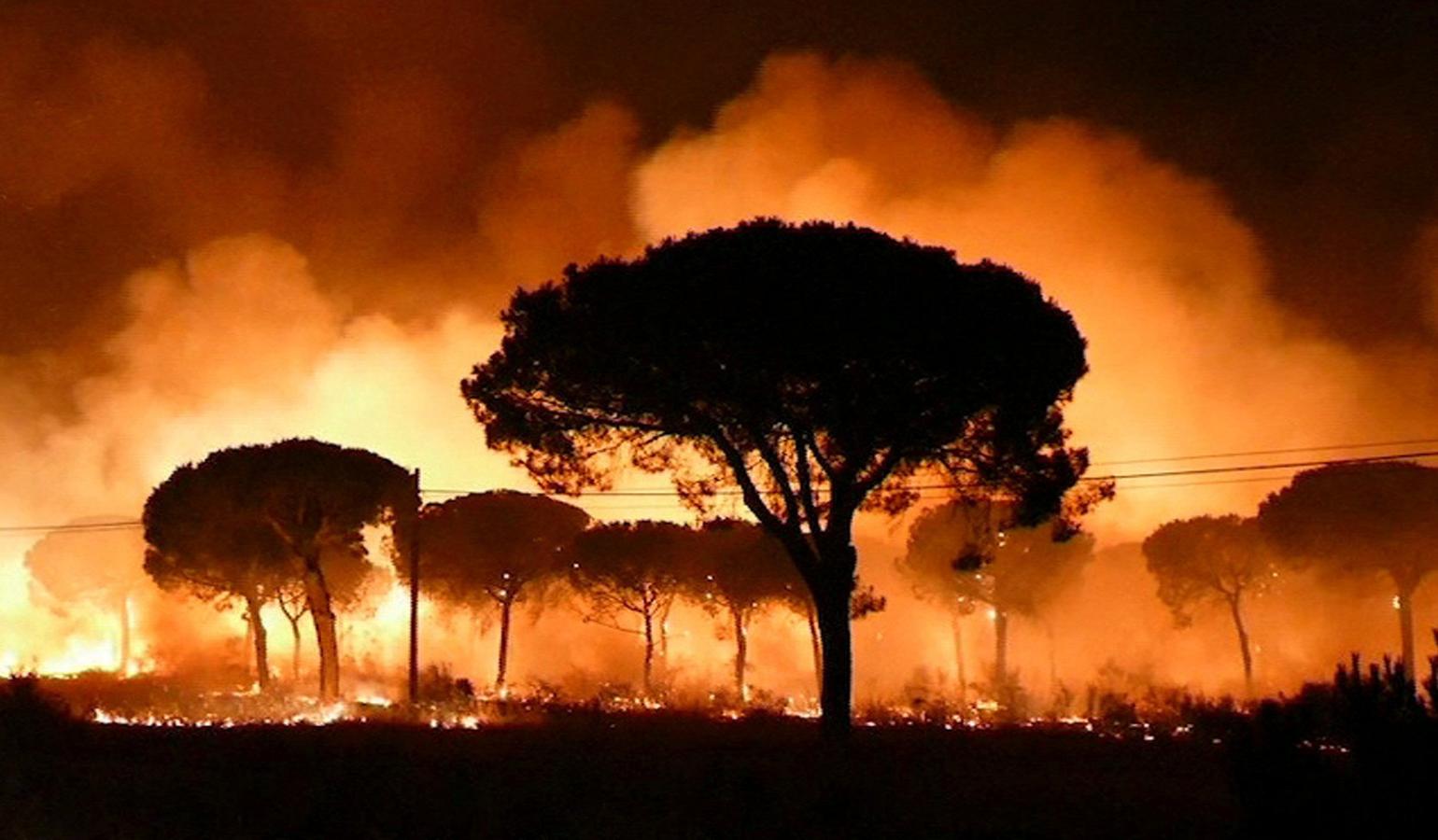 Cerca de 2.000 personas han sido desalojadas a lo largo de la pasada madrugada por el avance del incendio forestal que se registró a las 21.15 horas de este sábado cerca de Doñana. 