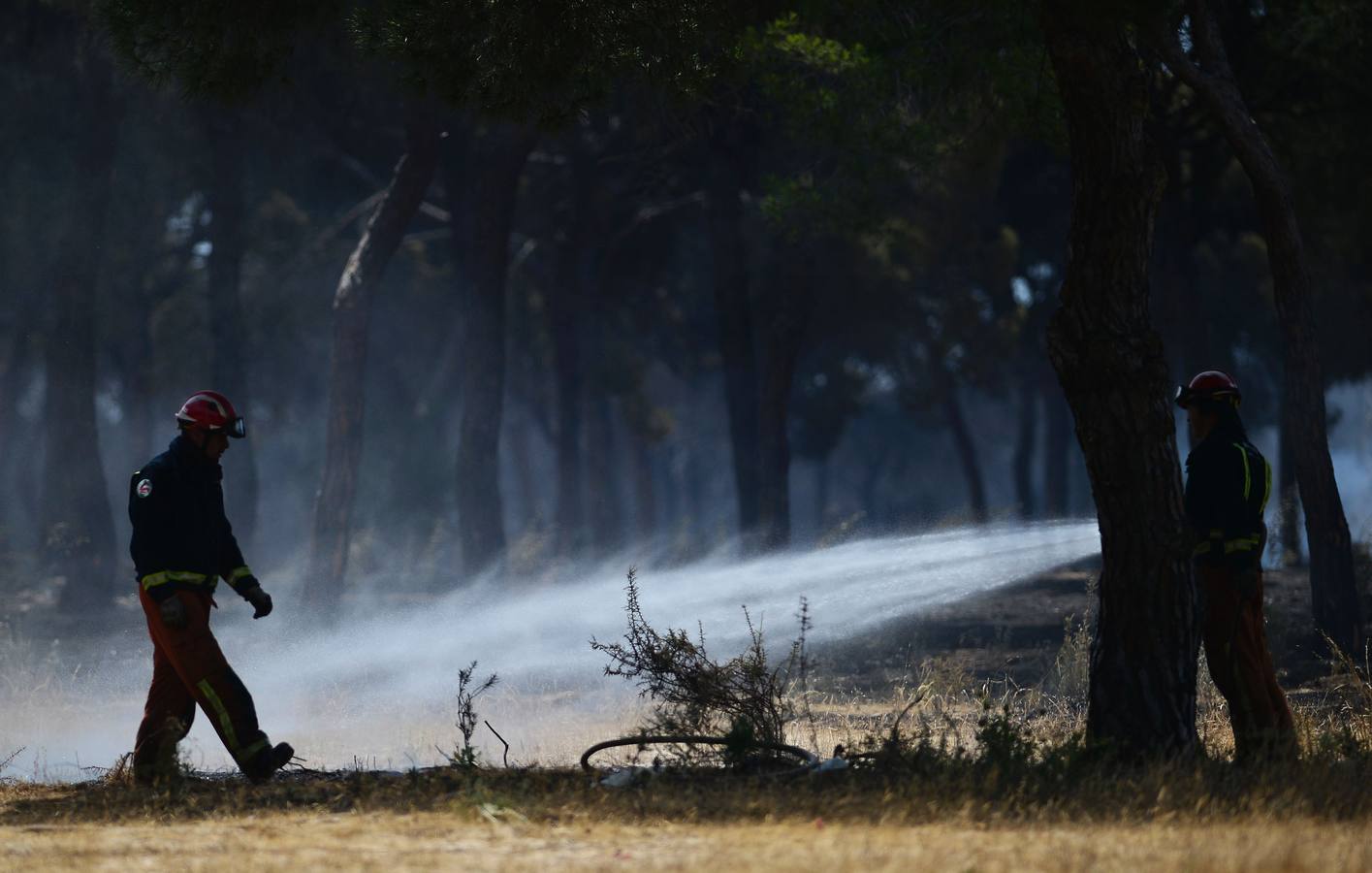 Las labores de extinción y lucha contra el incendio de Doñana, en imágenes