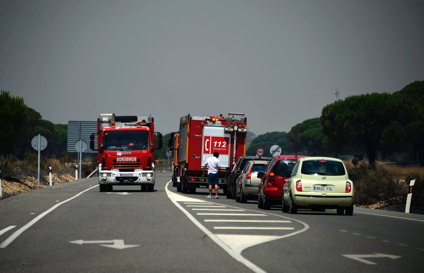 Las labores de extinción y lucha contra el incendio de Doñana, en imágenes