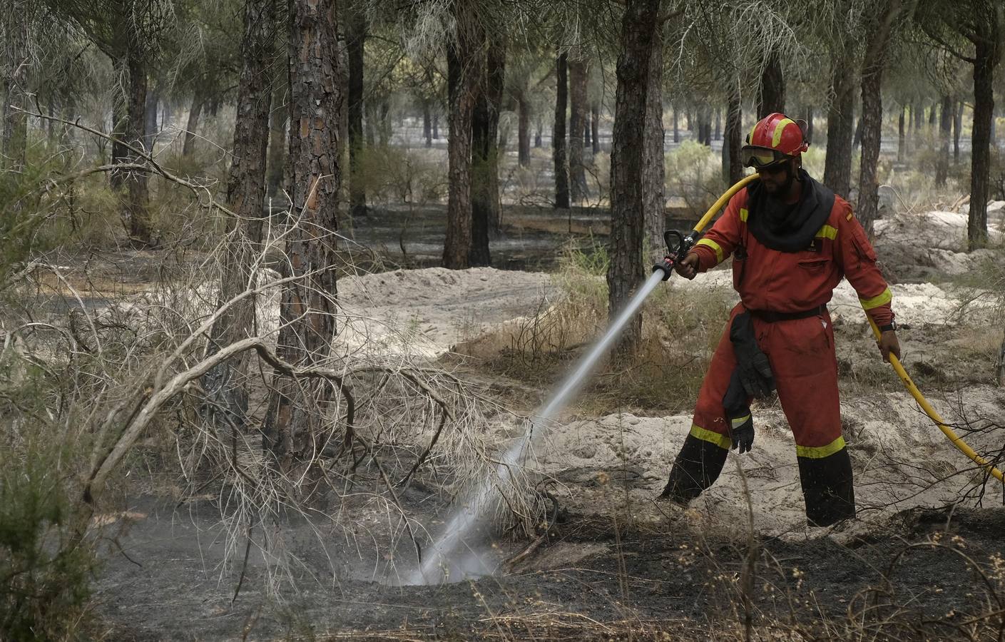 Las labores de extinción y lucha contra el incendio de Doñana, en imágenes