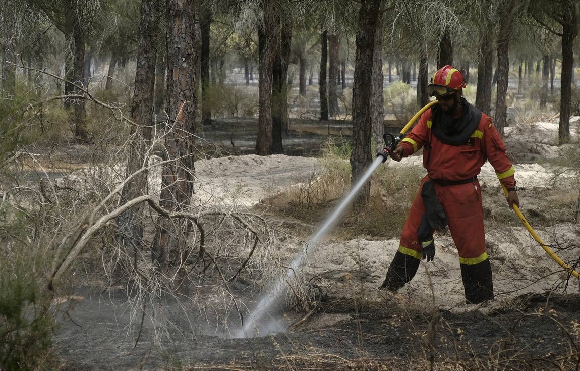 Las labores de extinción y lucha contra el incendio de Doñana, en imágenes