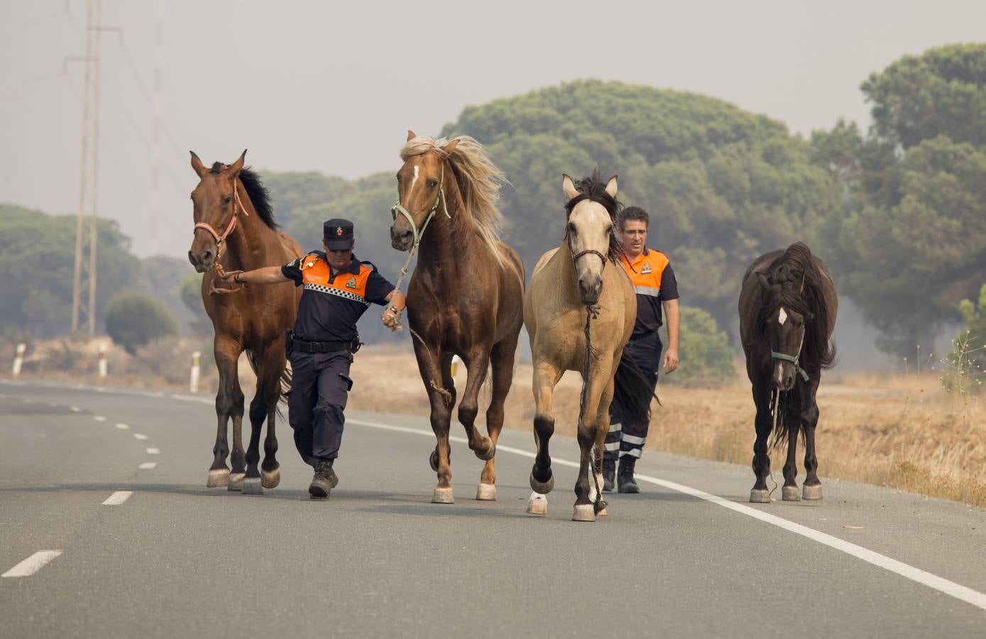 Las labores de extinción y lucha contra el incendio de Doñana, en imágenes