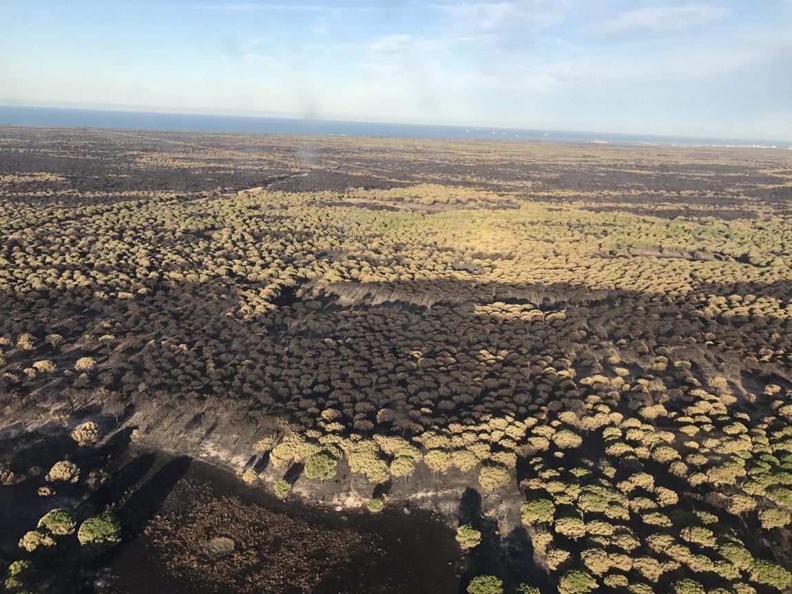 Fotografía aéreas del incendio que ha afectado al perímetro del Parque Nacional de Doñana, entre las localidades de Mazagón y Matalascañas