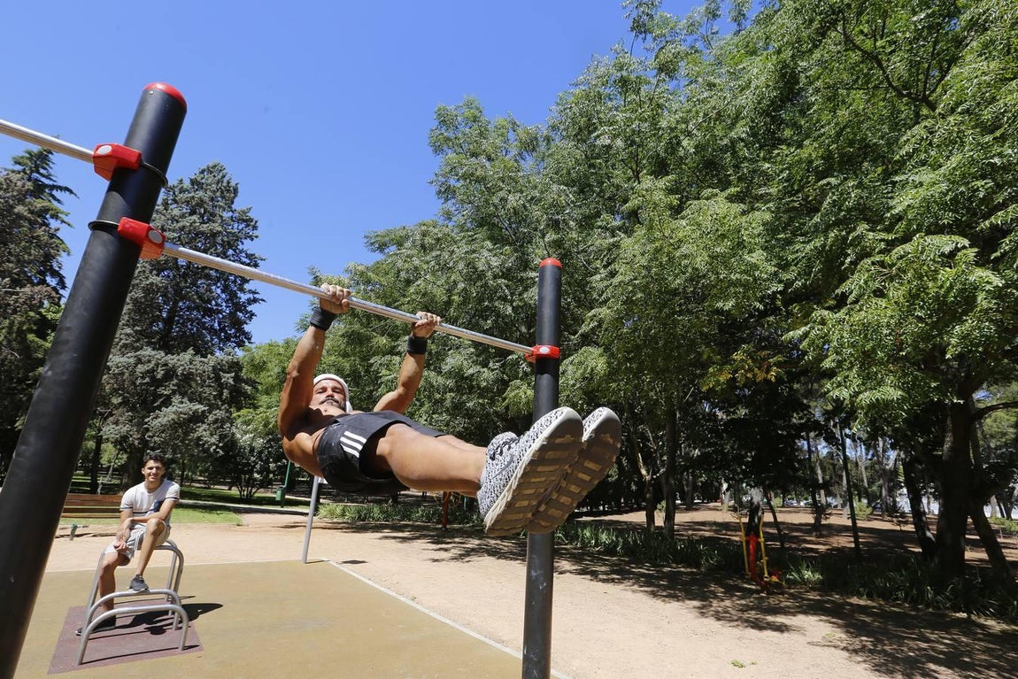 Recorrido visual por los árboles de Córdoba