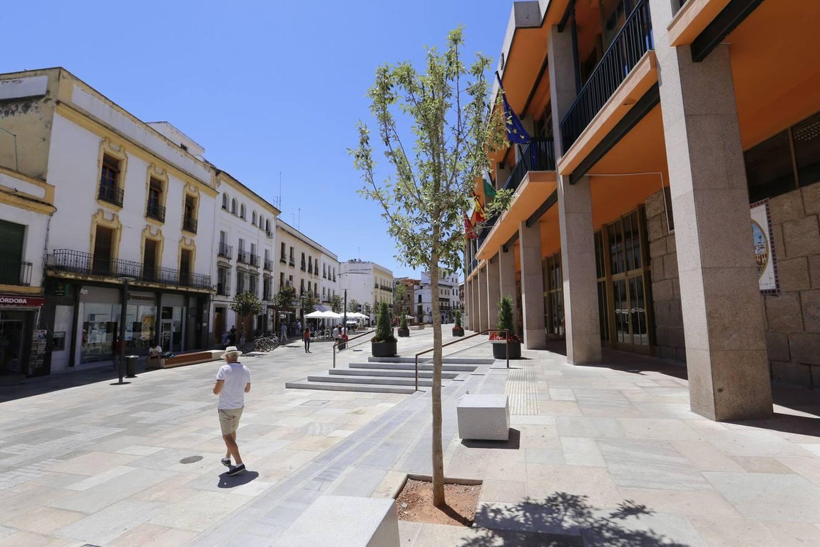 Recorrido visual por los árboles de Córdoba