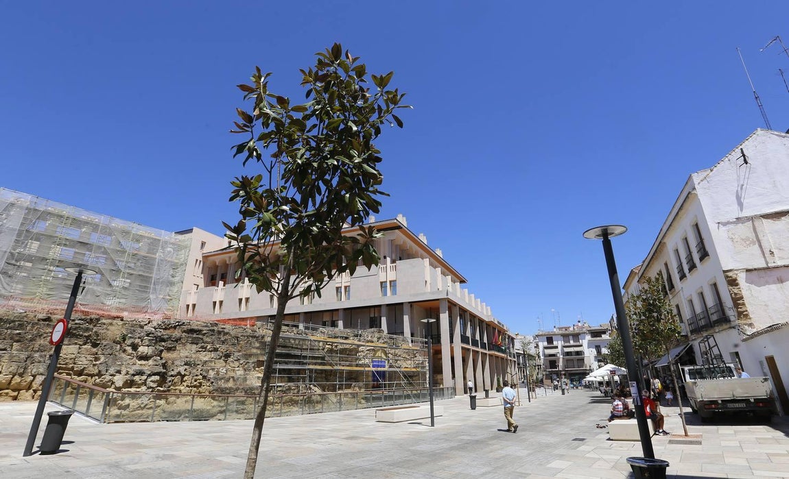 Recorrido visual por los árboles de Córdoba