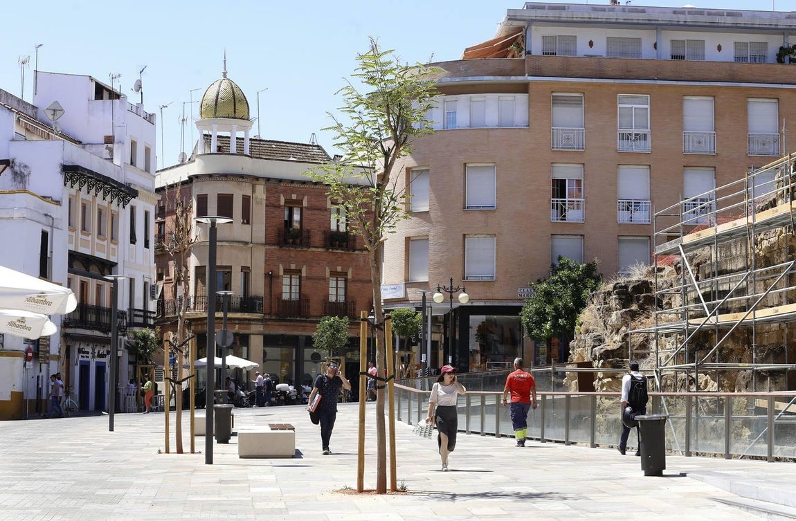 Recorrido visual por los árboles de Córdoba