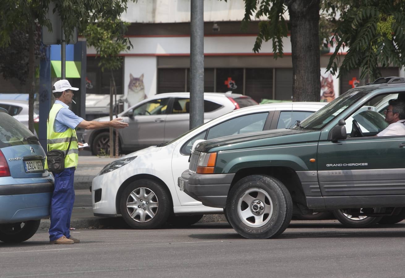 Los actividad irregular de los «gorrillas» de Córdoba, en imágenes