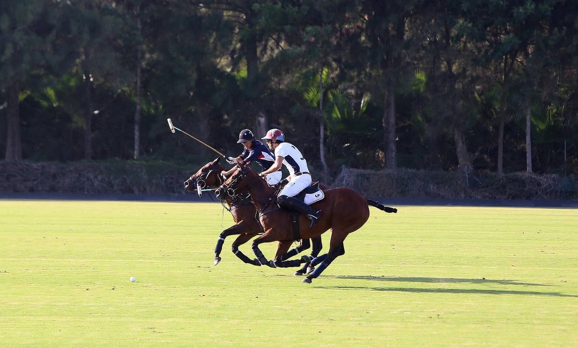 Las mejores imágenes del Torneo de Polo en el Santa María Club
