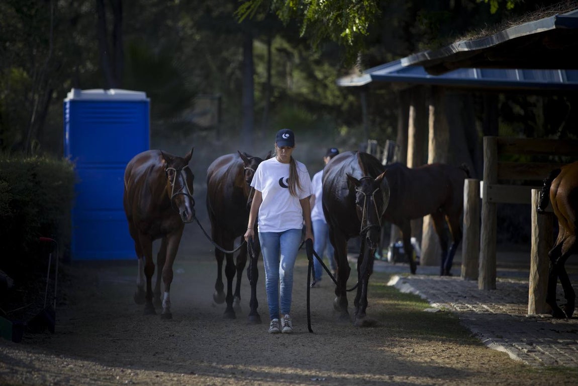 Las mejores imágenes del Torneo de Polo en el Santa María Club