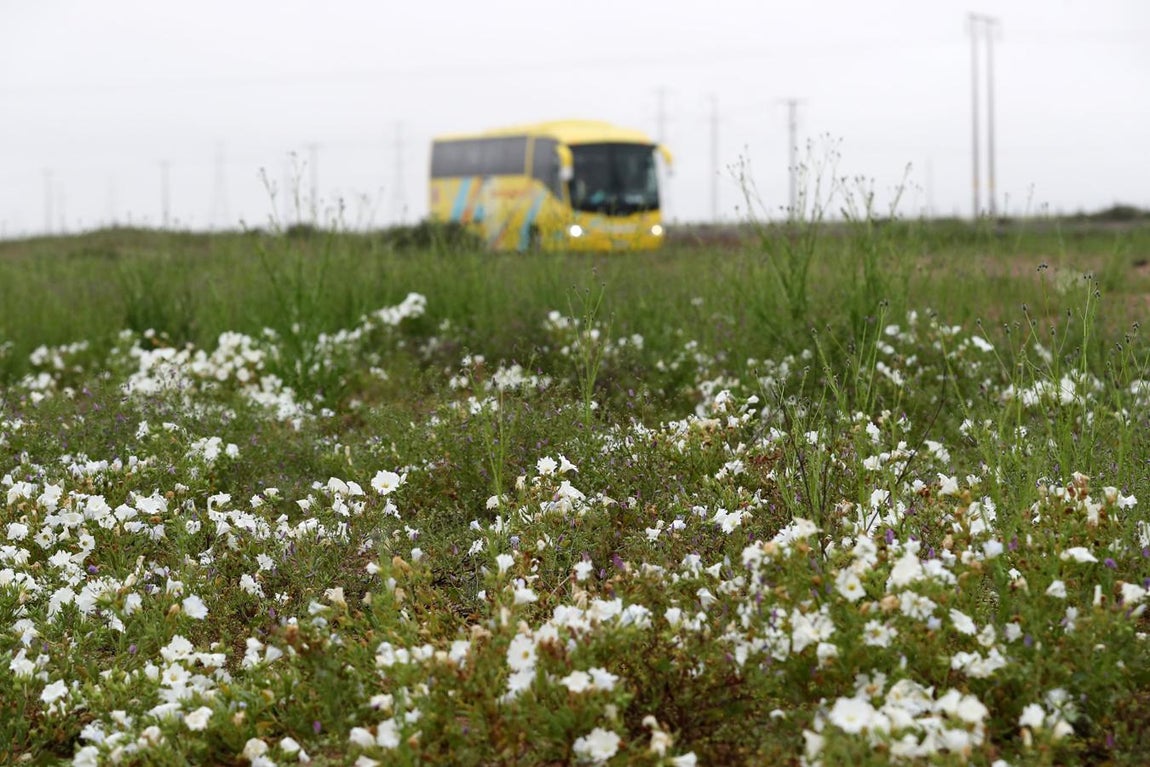 Atacama es uno de los más áridos y soleados. 