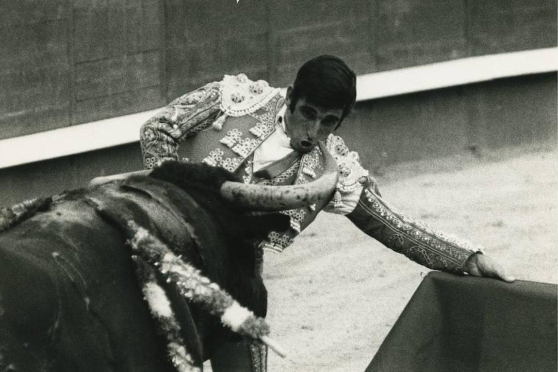 Corrida del cincuentenario de la plaza de Madrid. Dámaso González entre los pitones.. 