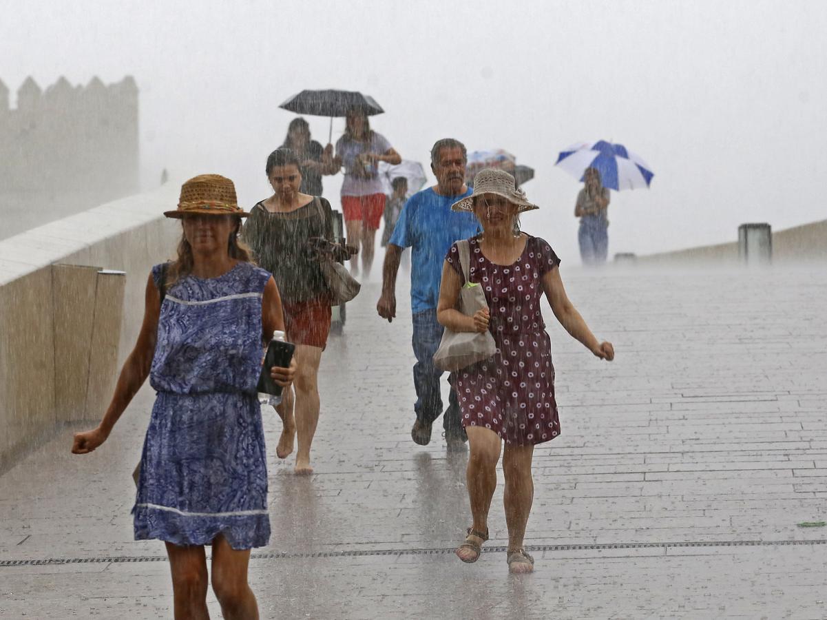 Lluvia torrencial y granizo en Córdoba. 