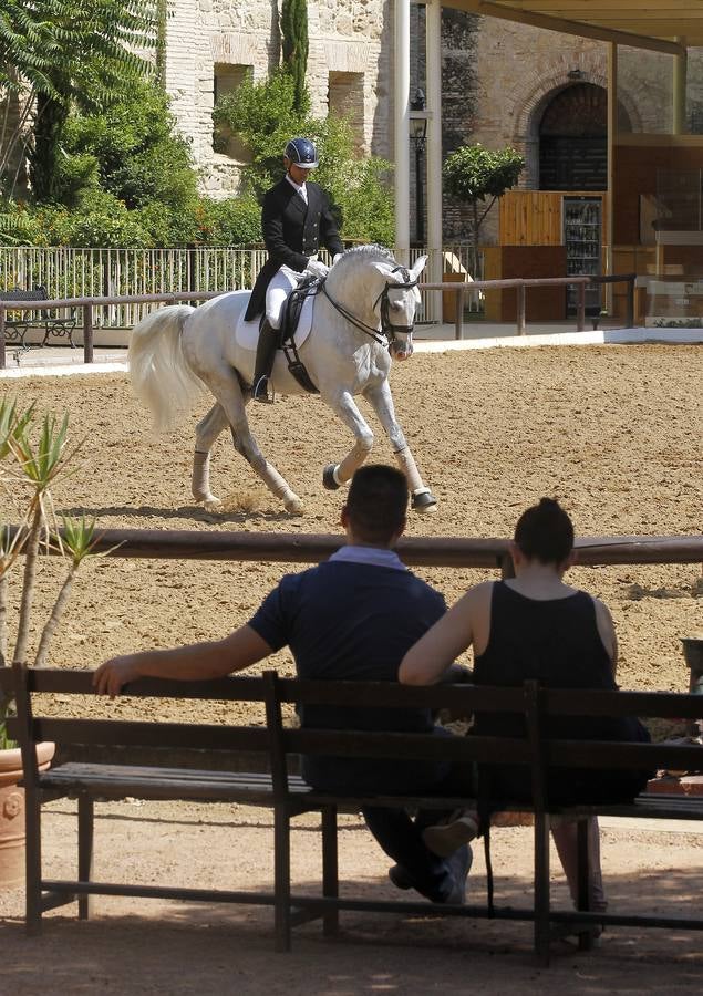 El primer día del Concurso Nacional de Doma Clásica, en imágenes