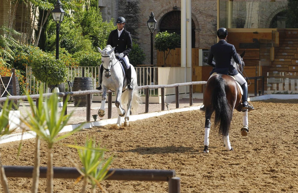 El primer día del Concurso Nacional de Doma Clásica, en imágenes