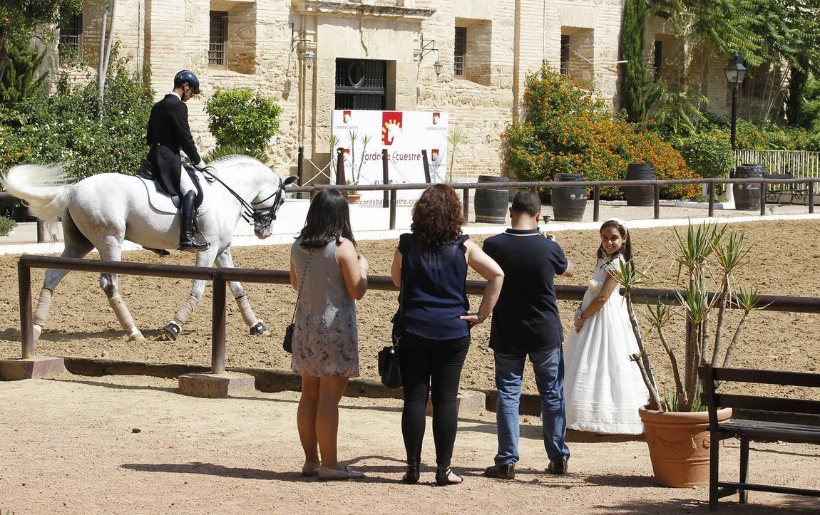 El primer día del Concurso Nacional de Doma Clásica, en imágenes