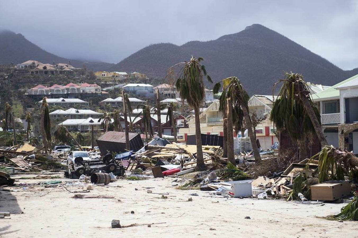 Los destrozos del huracán. 