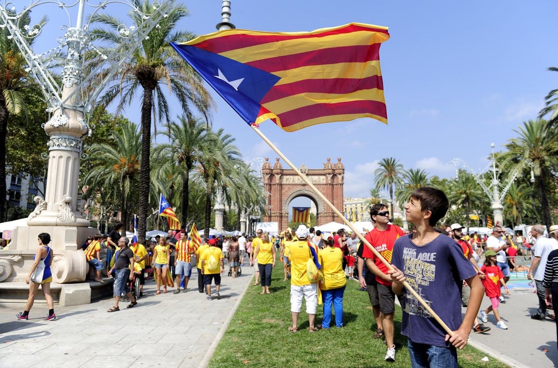 Un joven sostiene una estelada durante la Diada de 2014 en Barcelona. 