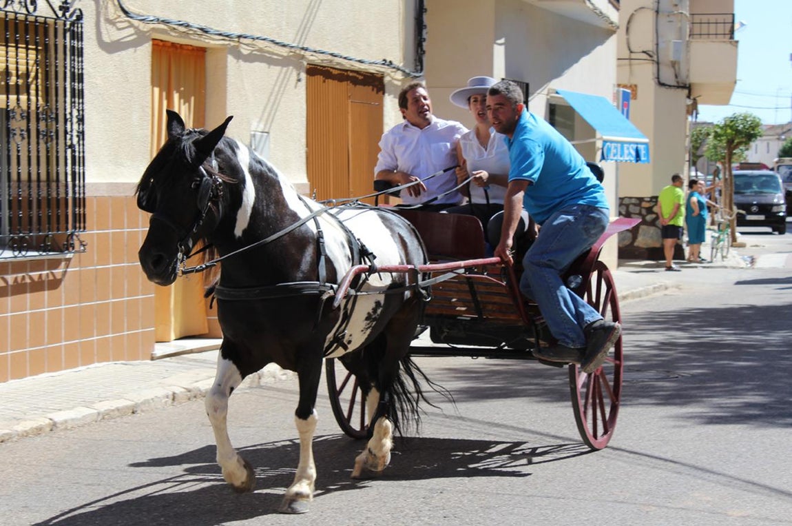 El «Día de Carros», en imágenes