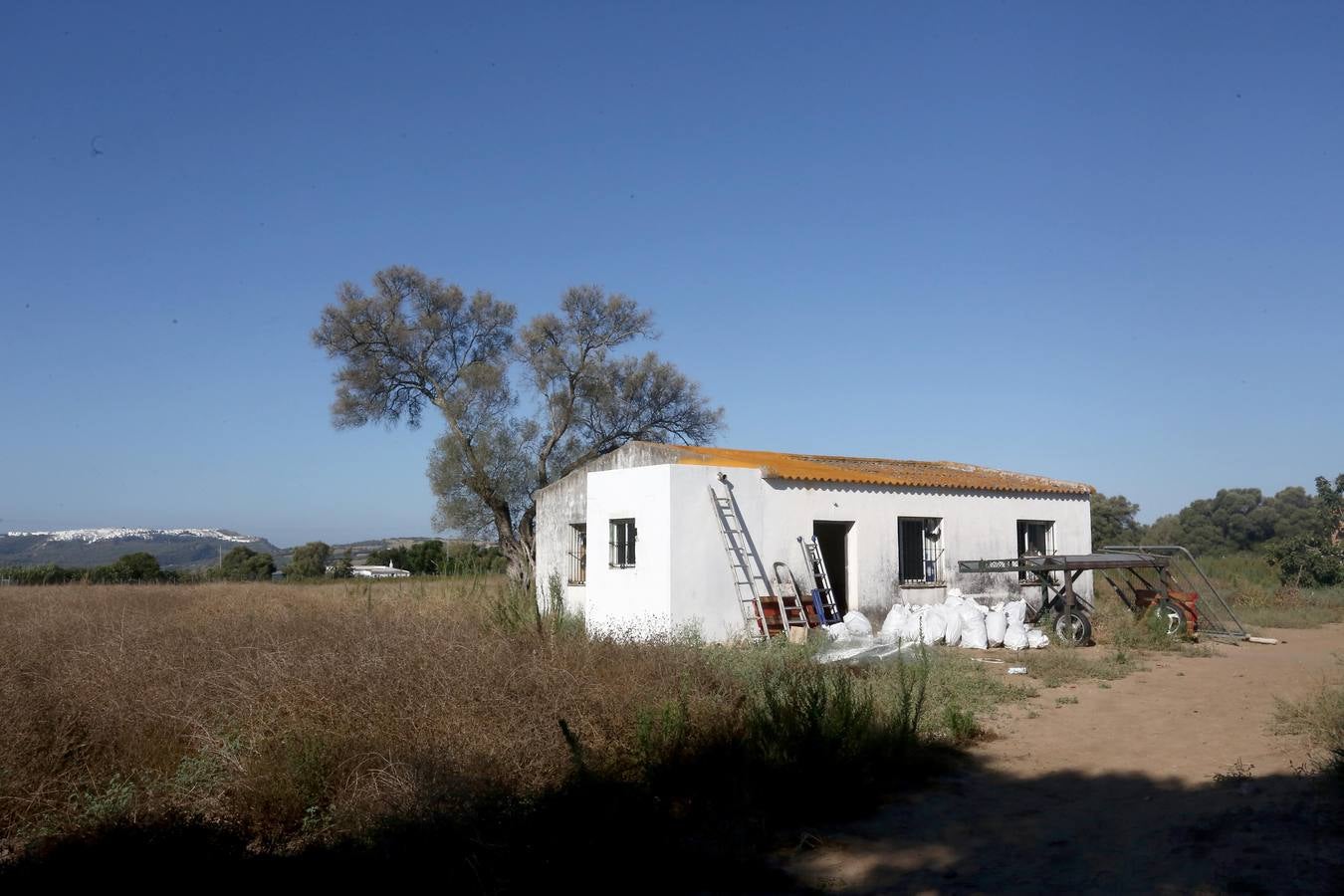 Fotos: Así ha sido la operación &#039;Libreros&#039; en Vejer