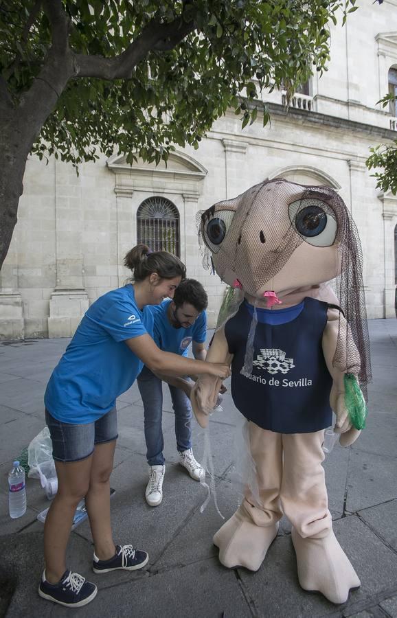 La tortuga Chelo se muda a la Plaza Nueva