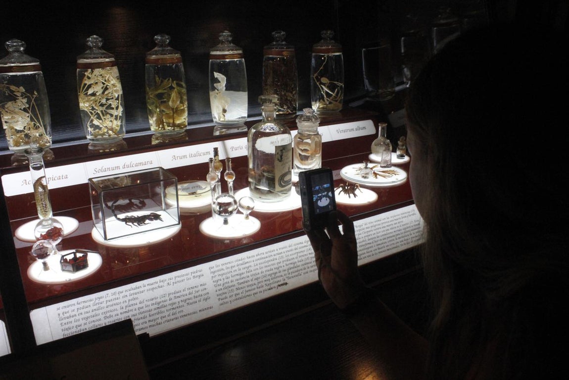 La muestra sobre brujería en Toledo, en imágenes