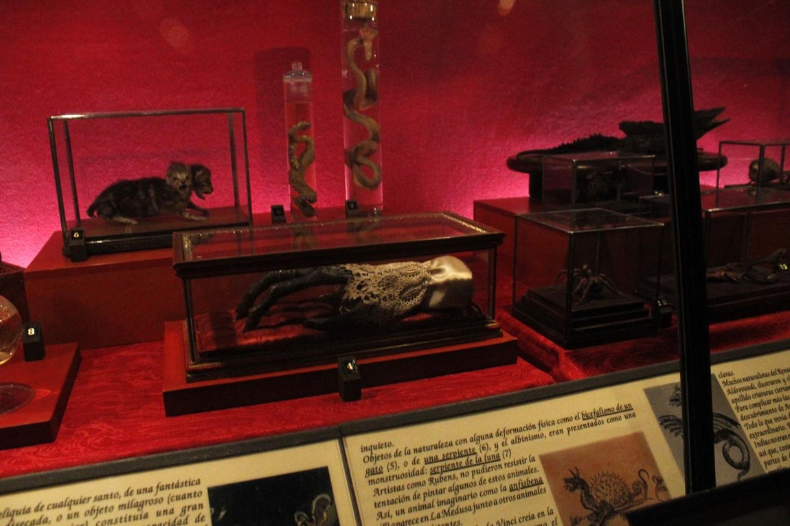 La muestra sobre brujería en Toledo, en imágenes