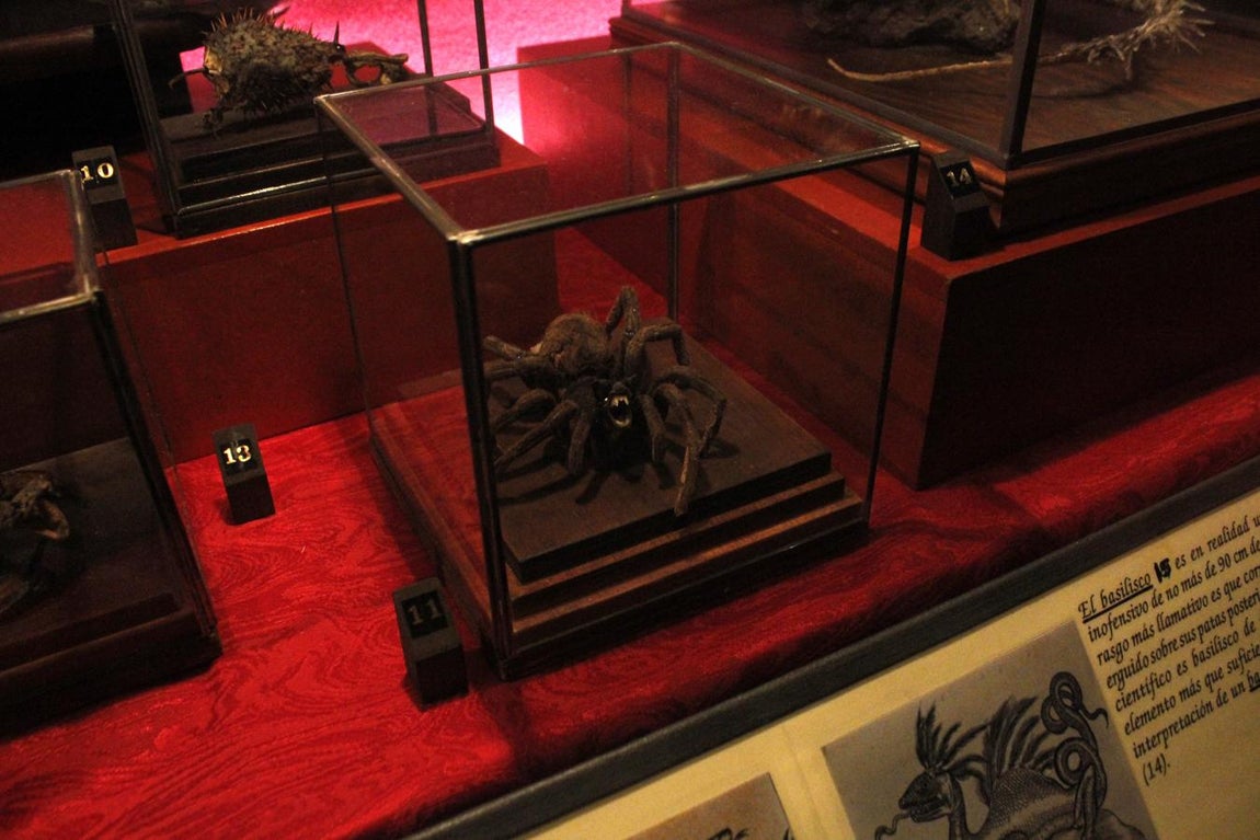 La muestra sobre brujería en Toledo, en imágenes