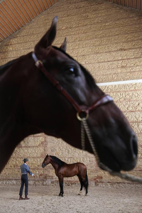 Las mejores imágenes de la jornada inaugural de Cabalcor