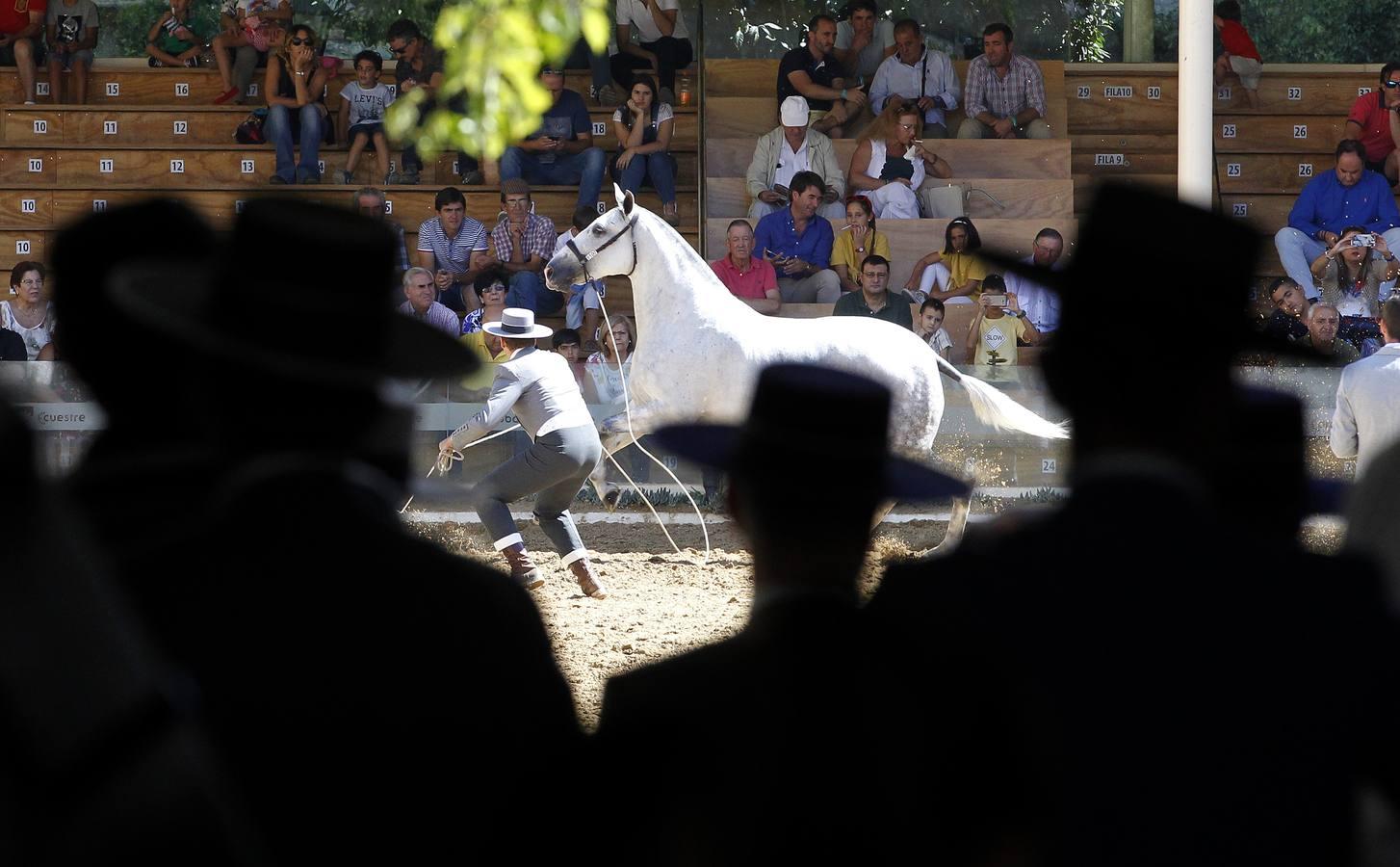 Los atalajes se lucen en Cabalcor