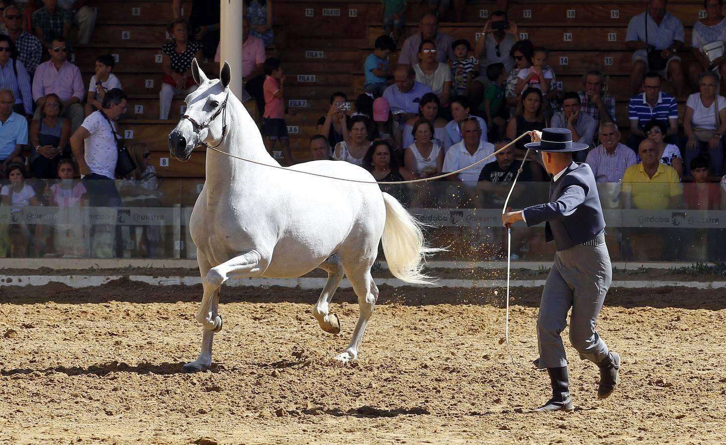 Los atalajes se lucen en Cabalcor