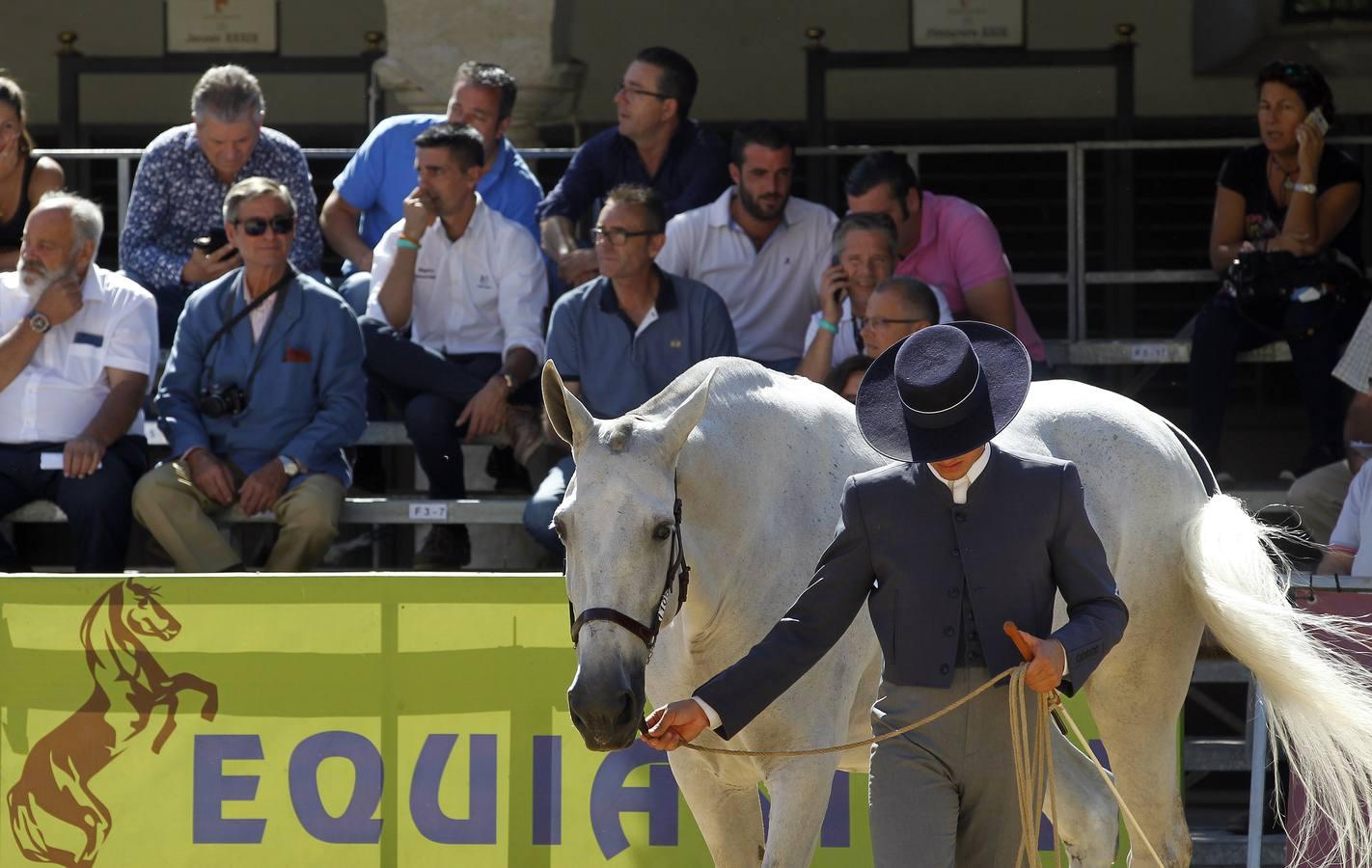 Los atalajes se lucen en Cabalcor