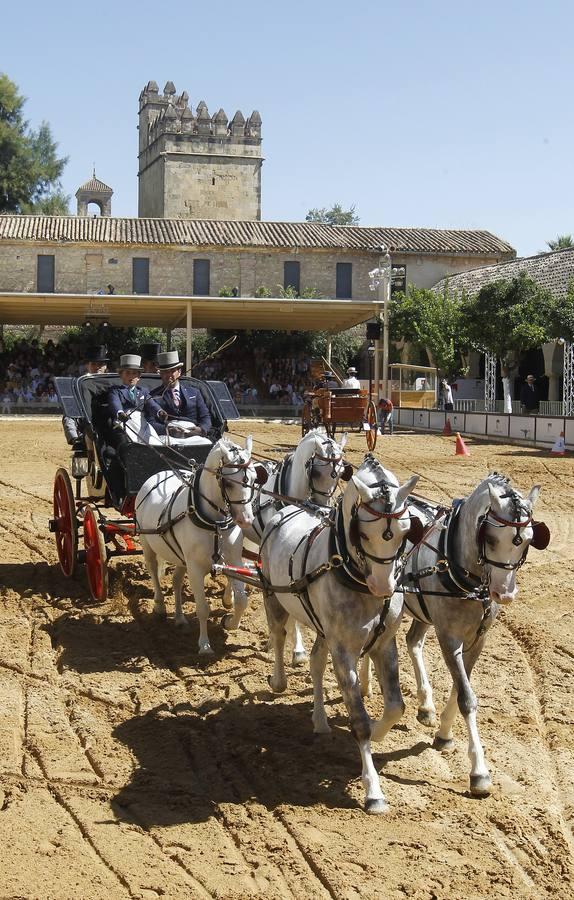 Los atalajes se lucen en Cabalcor