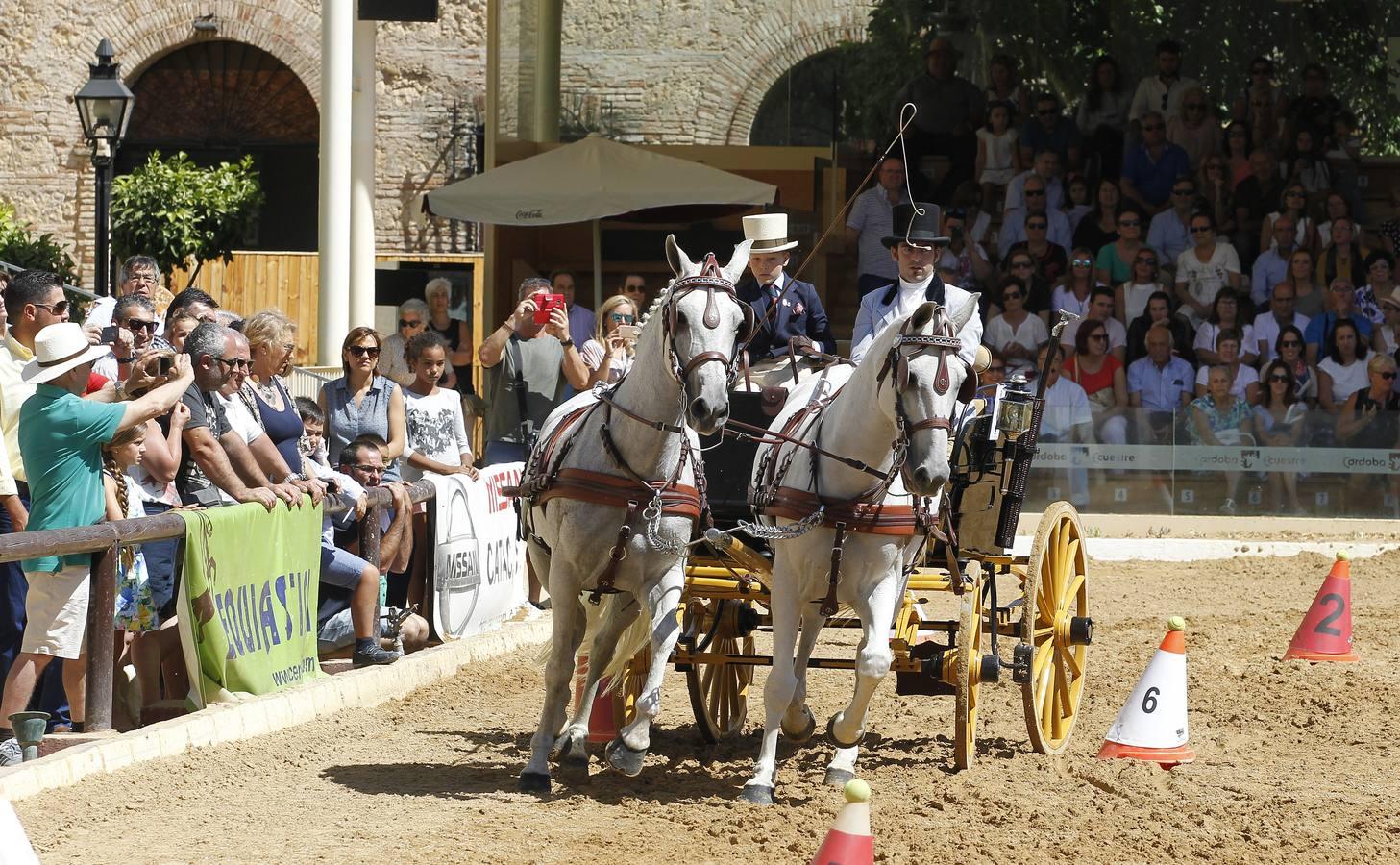 Los atalajes se lucen en Cabalcor