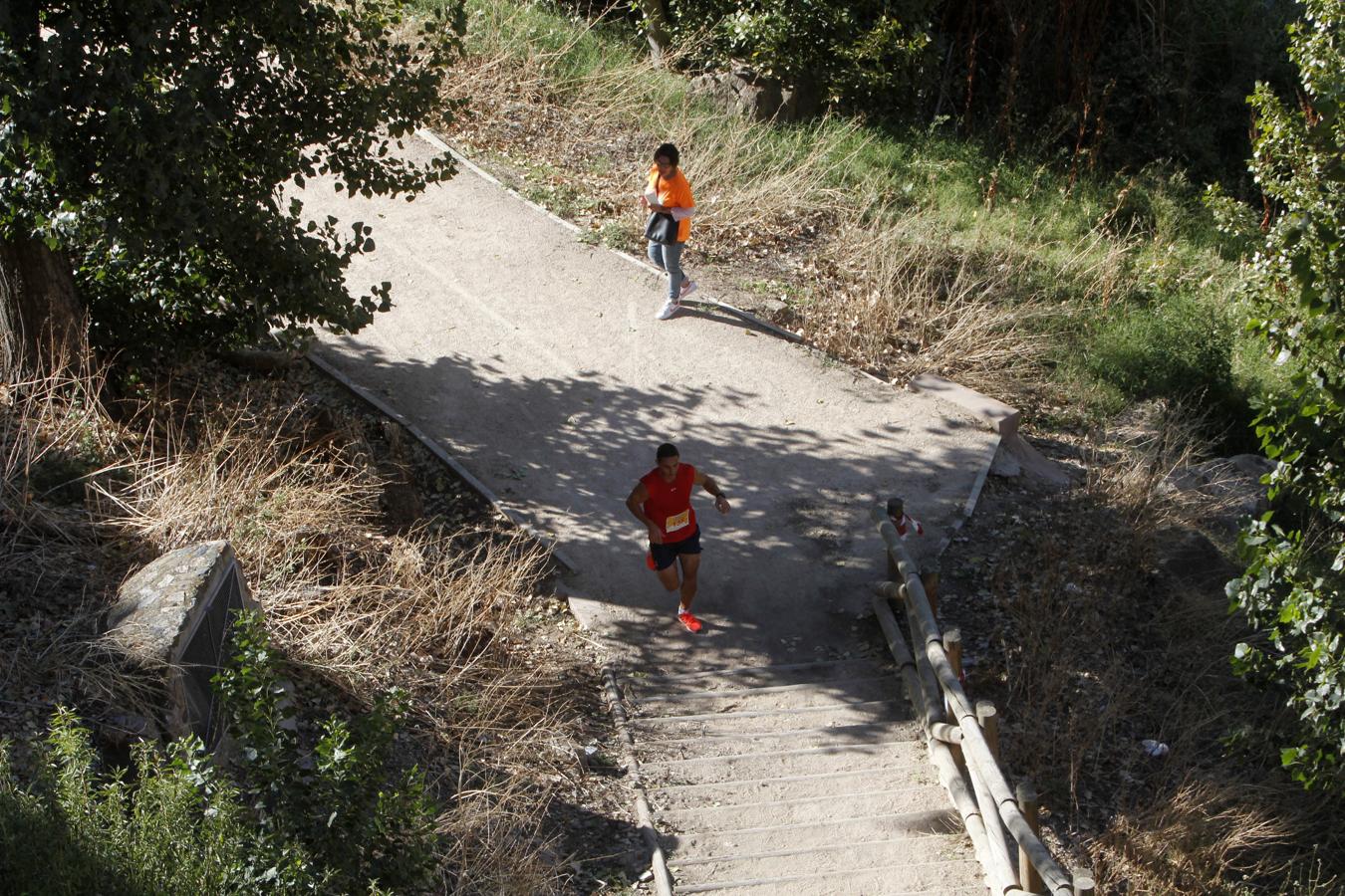 Más de 1.200 personas en el V Cross y Paseo Solidario de «Down Toledo»