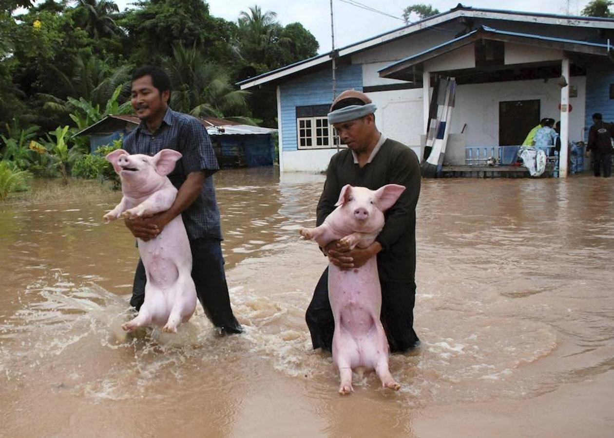 Tailandia