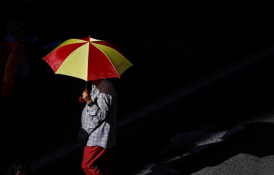 La manifestación de Barcelona por la unidad de España, en imágenes. 