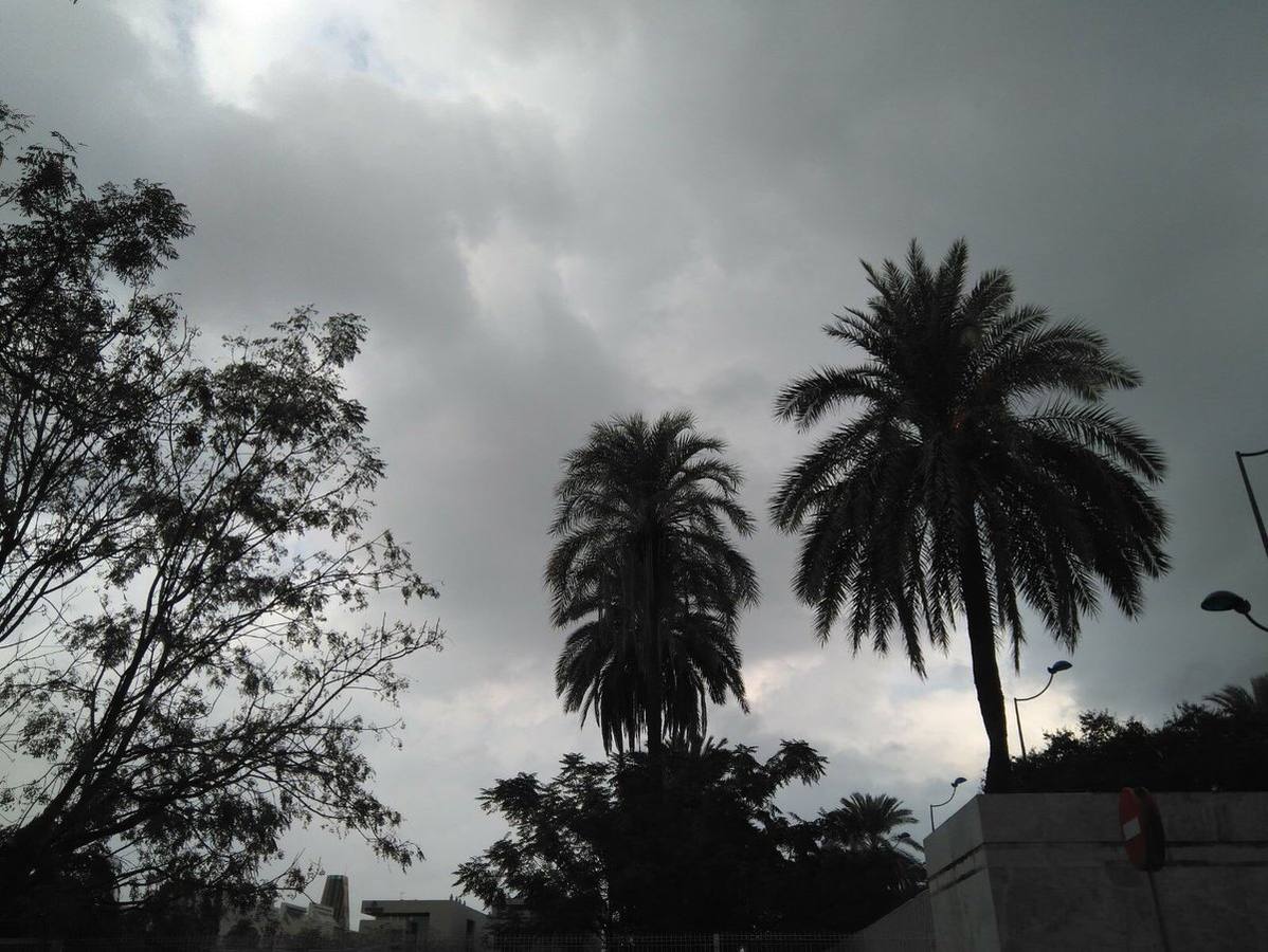 Así han vivido los lectores de ABC la llegada del otoño... (y la lluvia)