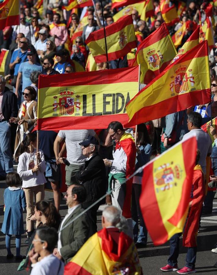 Manifestación convocada por la Fundación DENAES para la defensa de la Nación española, en la plaza de Colón de Madrid,. 