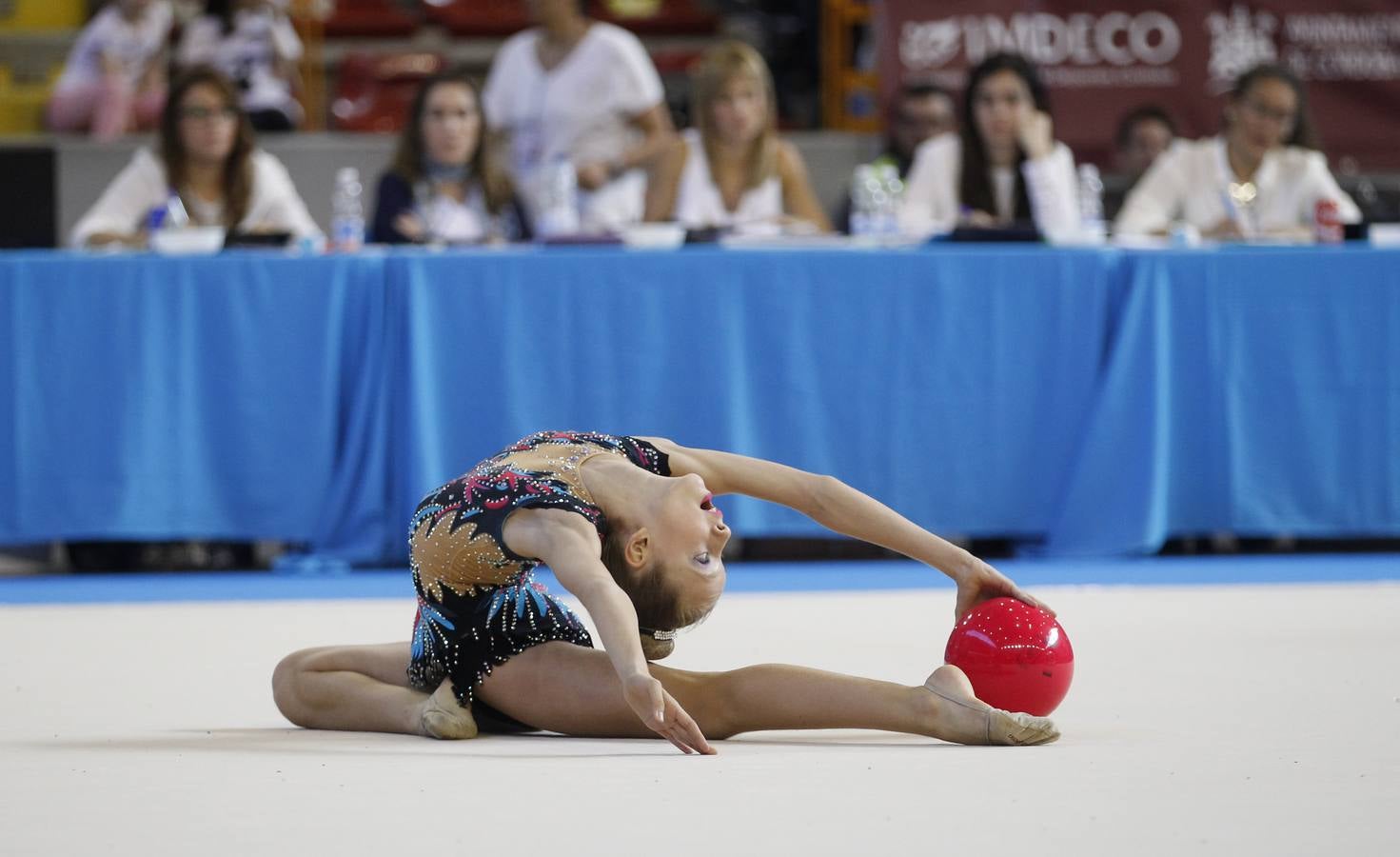 El Torneo Nacional de Gimnasia Rítmica, en imágenes